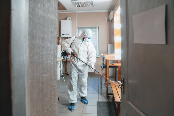 Best Emergency Mold Remediation  in Flint Hill, MO
