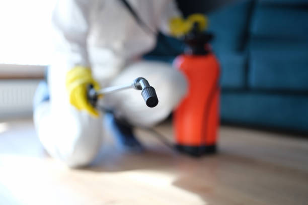 Mold Removal for HVAC Installations in Flint Hill, MO