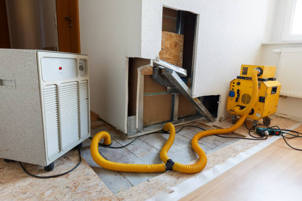 Mold Documentation for Insurance Claims in Flint Hill, MO